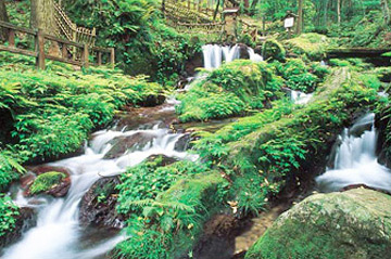 Uriwari no taki Waterfall, selected as on of 