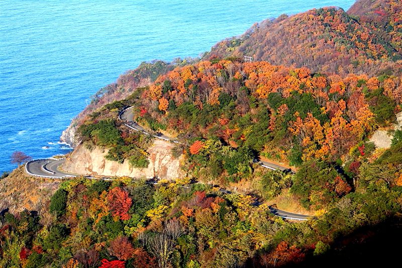 若狭・三方｜若狭みかた きらら温泉｜水月花